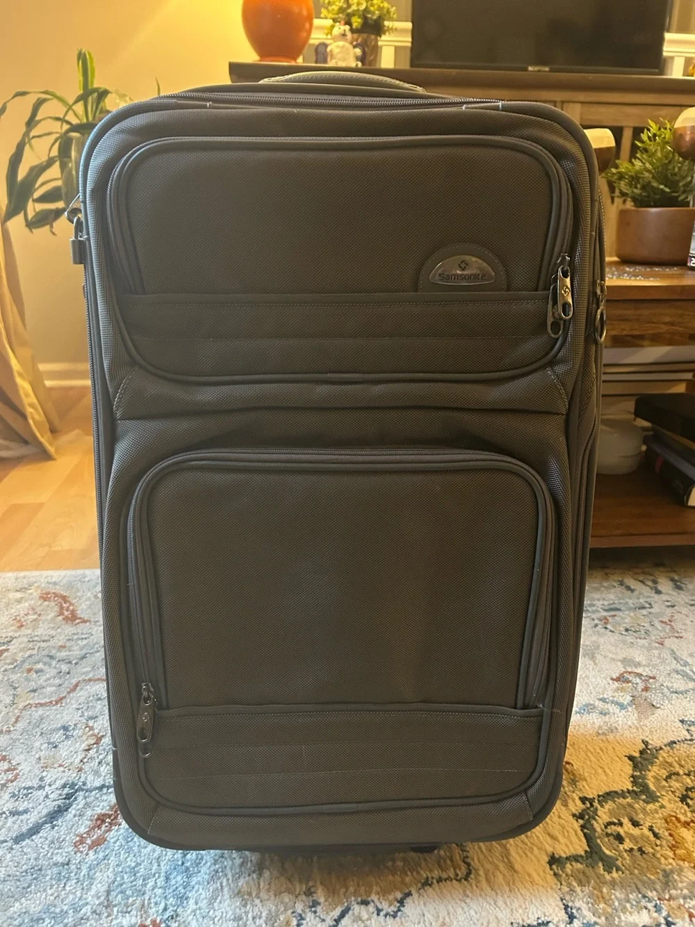 Samsonite 2-Wheel Softside Carry-On Suitcase Gray 24” Good Condition